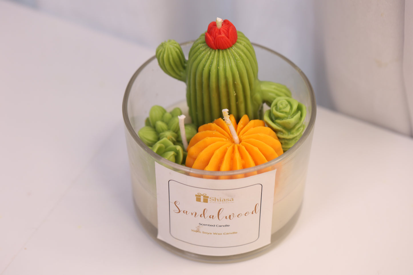 Cactus Scented Candle