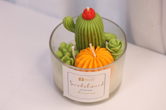 Cactus Scented Candle